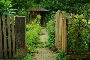 Tuinieren met kwaliteit: gezonde planten, compost en anti worteldoek voor een succesvolle moestuin