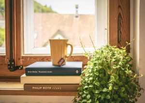 Glas op maat voor schoolomgeving met isolatieglas en veiligheidsglas voor betere energie-efficiëntie en veiligheid