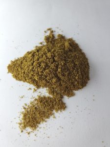 Kratom bladeren van de Mitragyna speciosa boom met informatie over werkzame alkaloïden en gezondheidsvoordelen