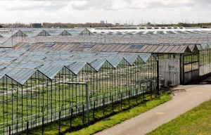 Kassenbouwer werkt aan modern gevelsysteem met isolatieprofielen voor verbeterde energieprestaties