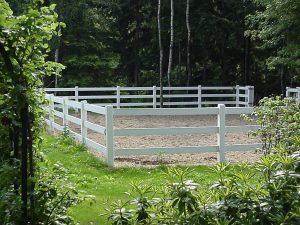 Drainage systeem onder paardenomheining met goede waterafvoer en duurzame ondergrond voor optimale stabiliteit